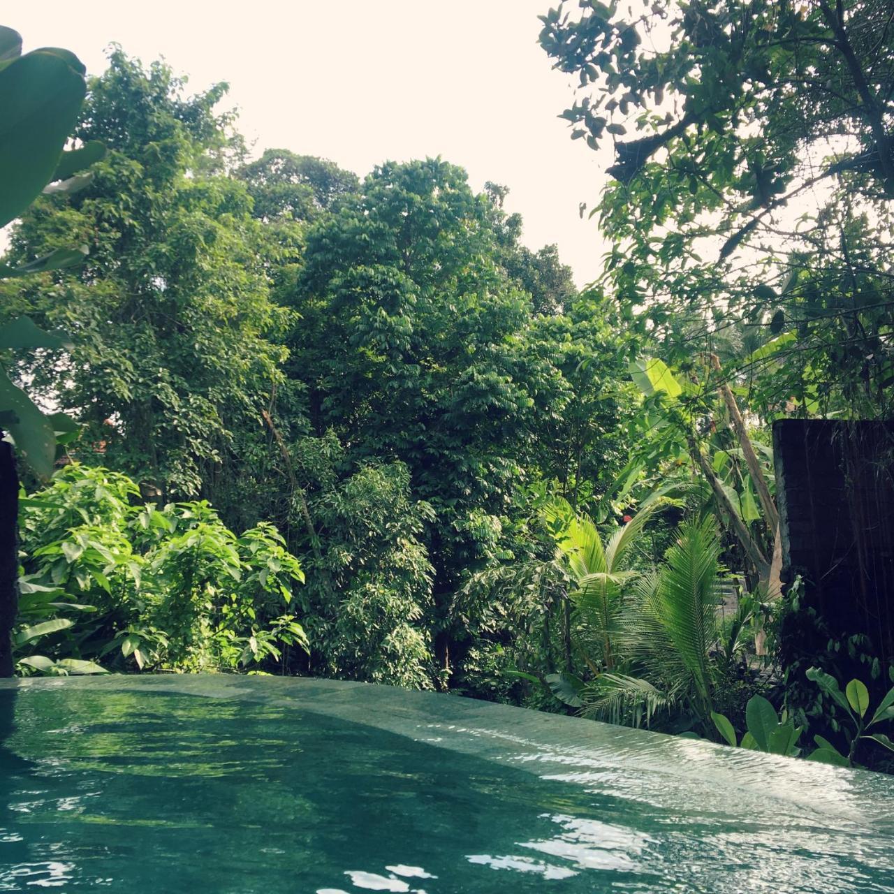 Raka Rai Bungalows Ubud  Ngoại thất bức ảnh