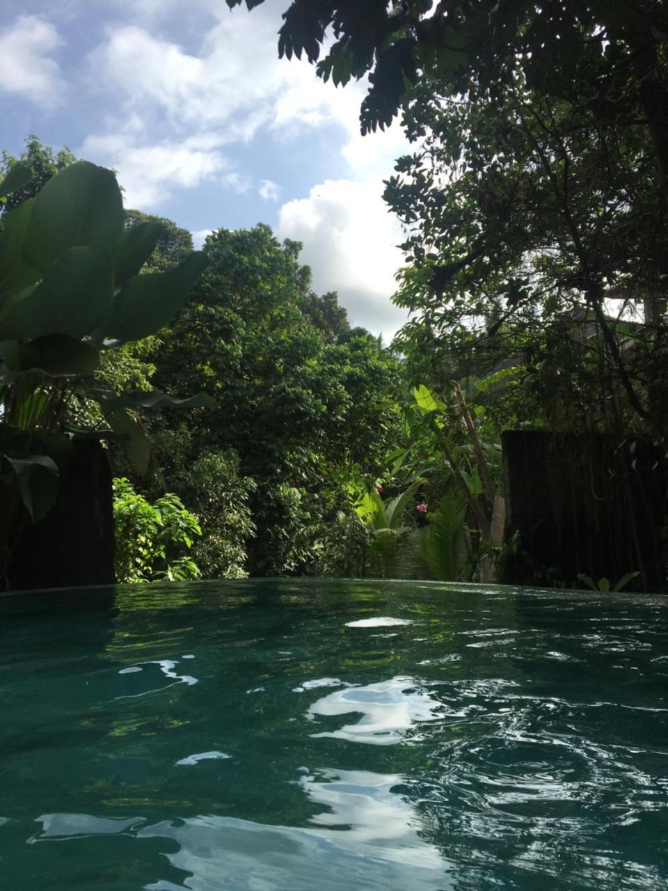 Raka Rai Bungalows Ubud  Ngoại thất bức ảnh
