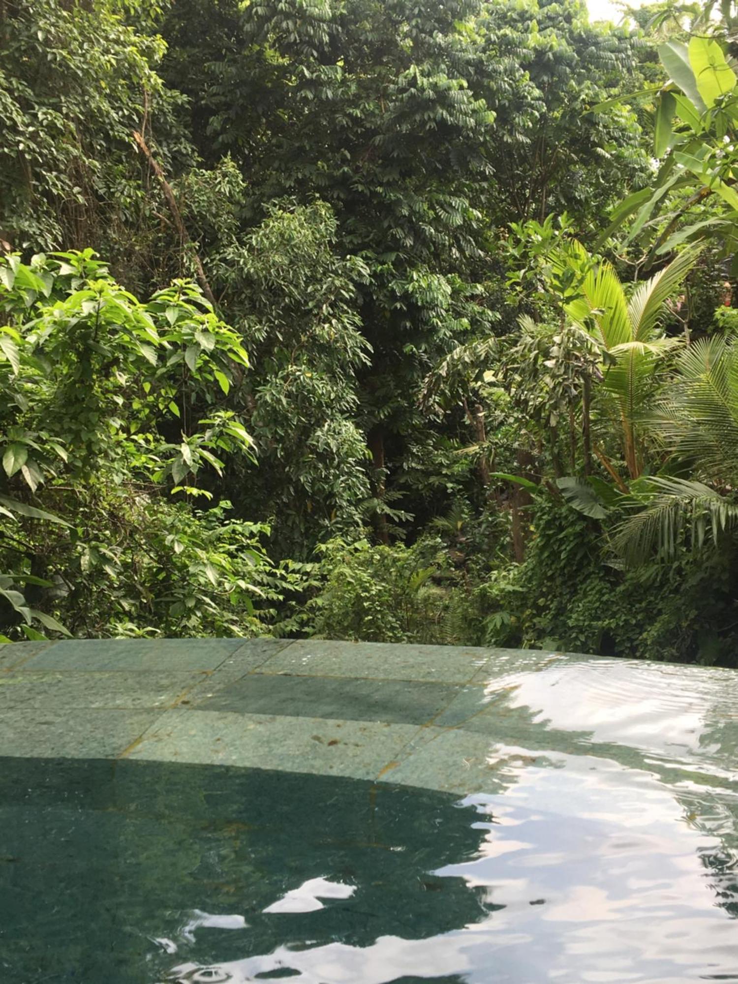 Raka Rai Bungalows Ubud  Ngoại thất bức ảnh